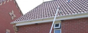 Roof Cleaner in Kendal